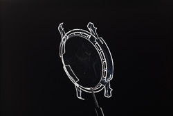 Protilux-X13