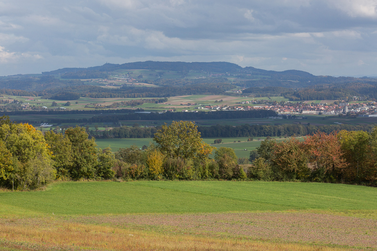 151008_033_7816.jpg