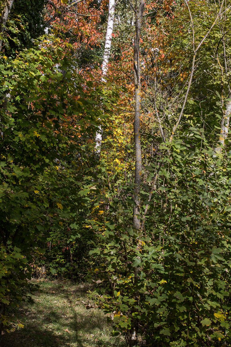 151008_035_7826.jpg